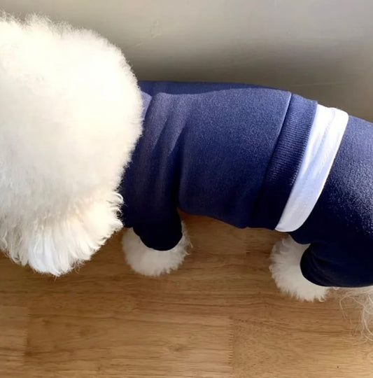 Dog jogging suit